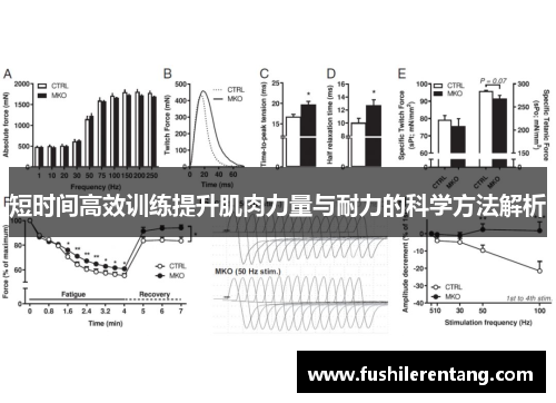 短时间高效训练提升肌肉力量与耐力的科学方法解析