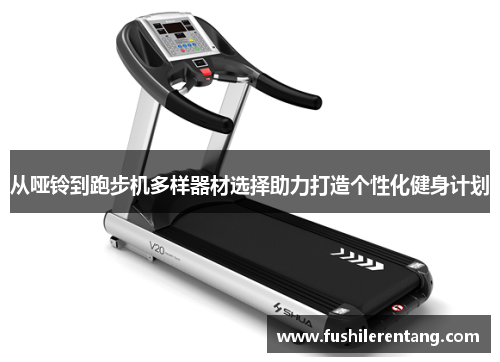 从哑铃到跑步机多样器材选择助力打造个性化健身计划