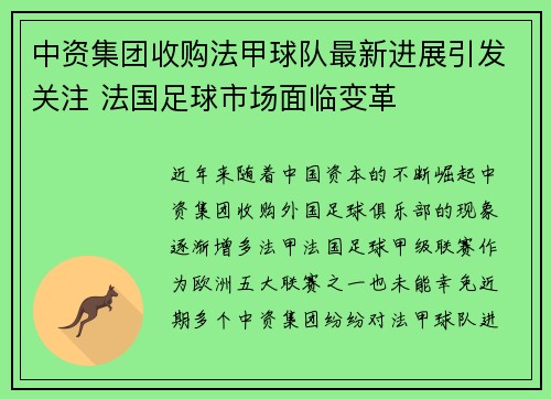 中资集团收购法甲球队最新进展引发关注 法国足球市场面临变革