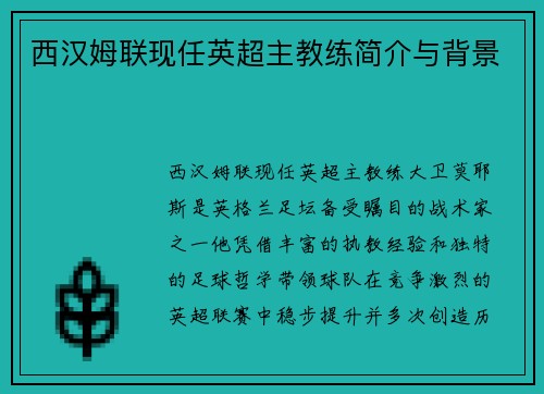 西汉姆联现任英超主教练简介与背景