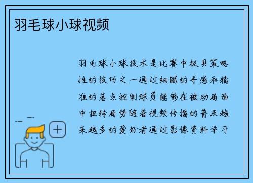 羽毛球小球视频